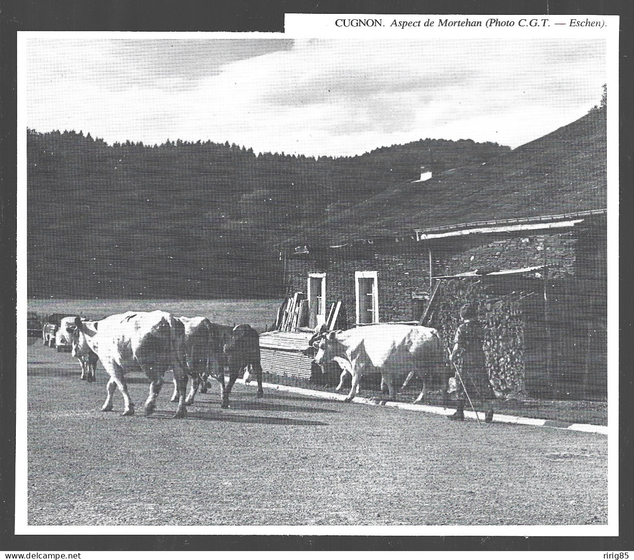 1980  --  BELGIQUE . CUGNON . ASPECT DE MORTEBAN . 4B021 - Ohne Zuordnung