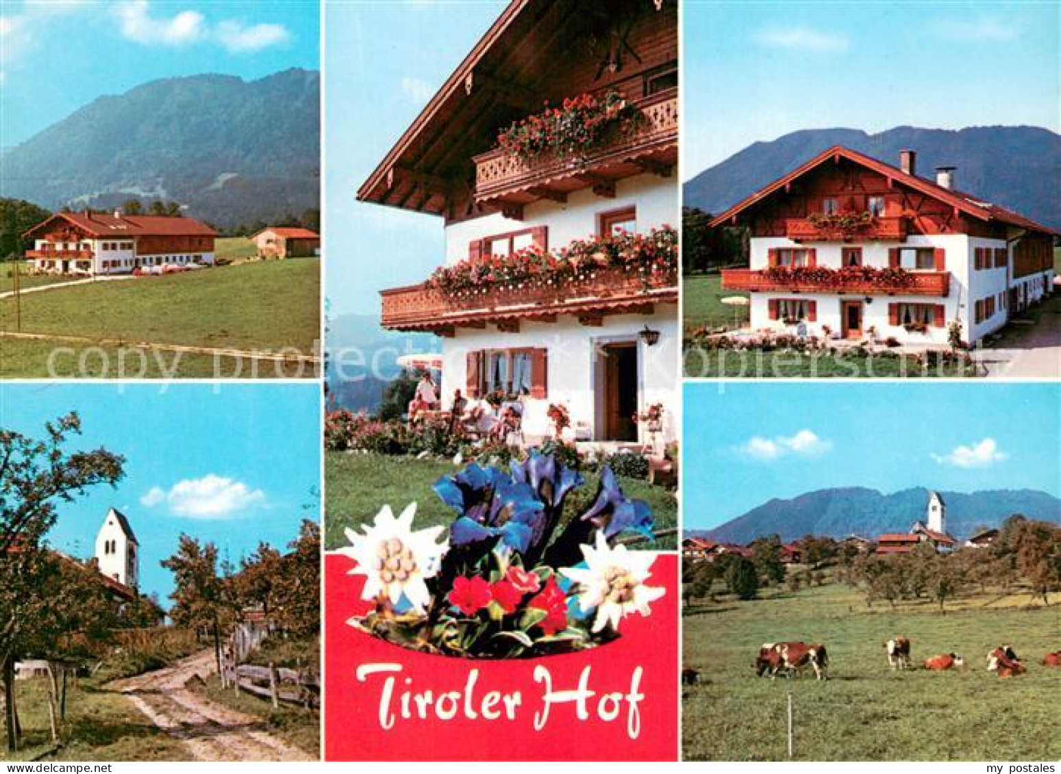 73706887 Wackersberg Bad Toelz Gaestehaus Fremdenzimmer Tiroler Hof Ortsmotiv Mi - Other & Unclassified