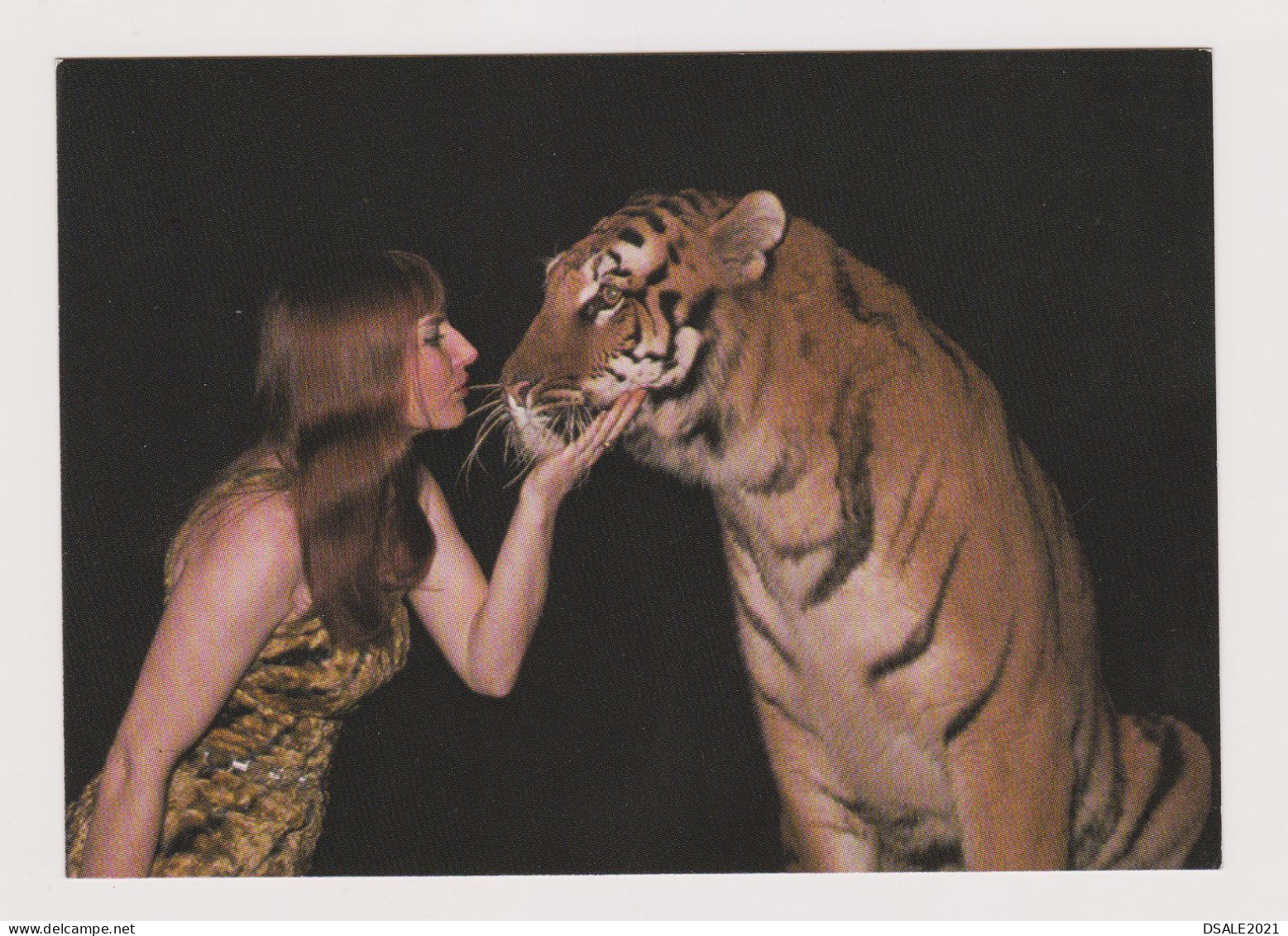 Poland Polish Sexy Young Woman A Tiger Trainer, Circus Performer, Vintage Photo Postcard RPPc AK (1209) - Cirque