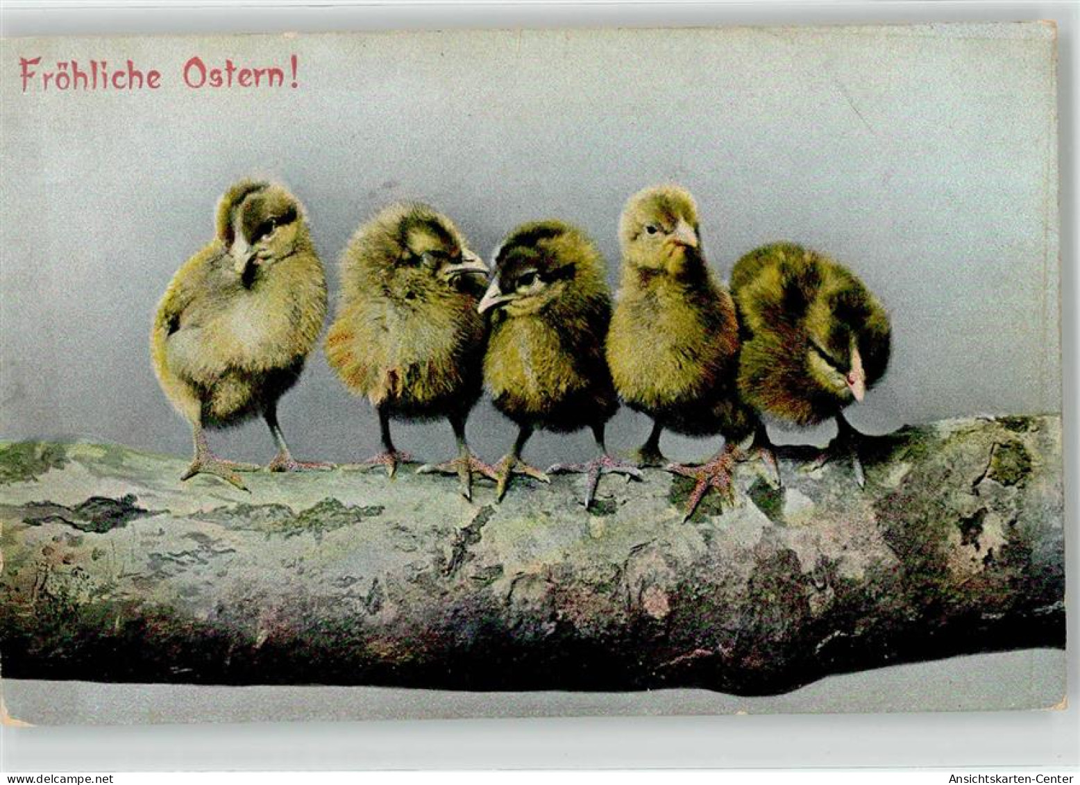 52231506 - - Ostern