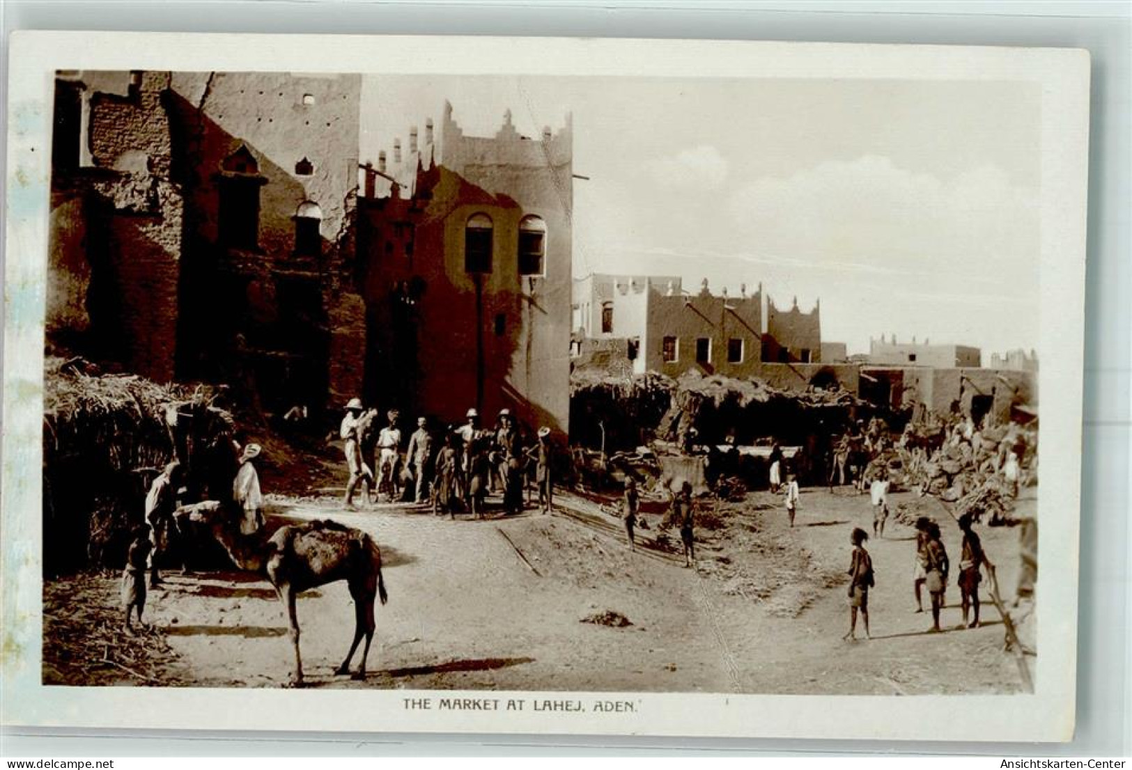 52215206 - Aden - Yemen