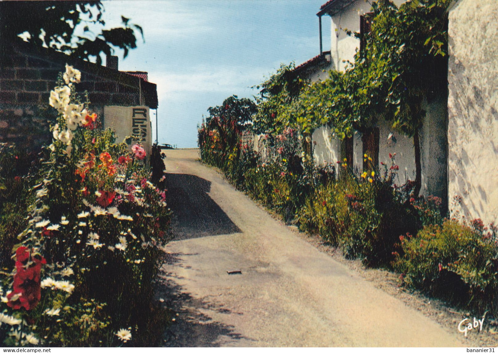 CPSM 17 - TALMONT - Lot De 3 Cartes - Eglise Romane Du XI ° S. Vieilles Maisons Et  Fleurs Locales Les Roses Trémières - Other & Unclassified