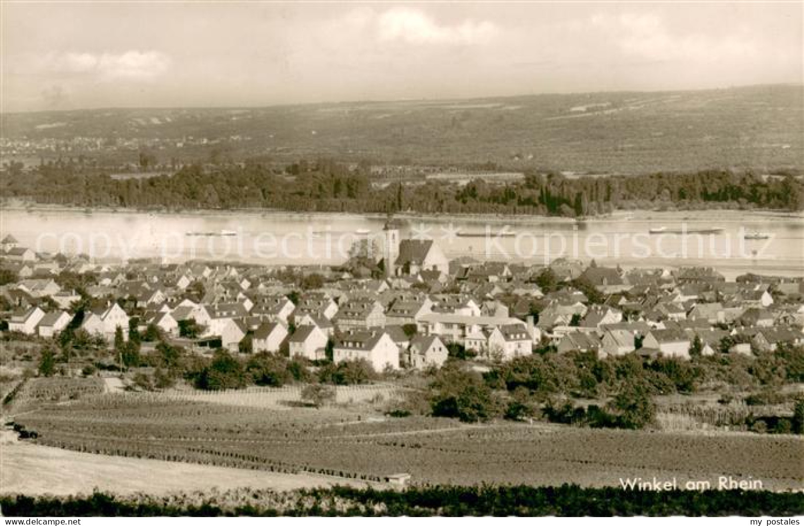 73706545 Winkel Oestrich-Winkel Panorama Am Rhein Winkel Oestrich-Winkel - Oestrich-Winkel