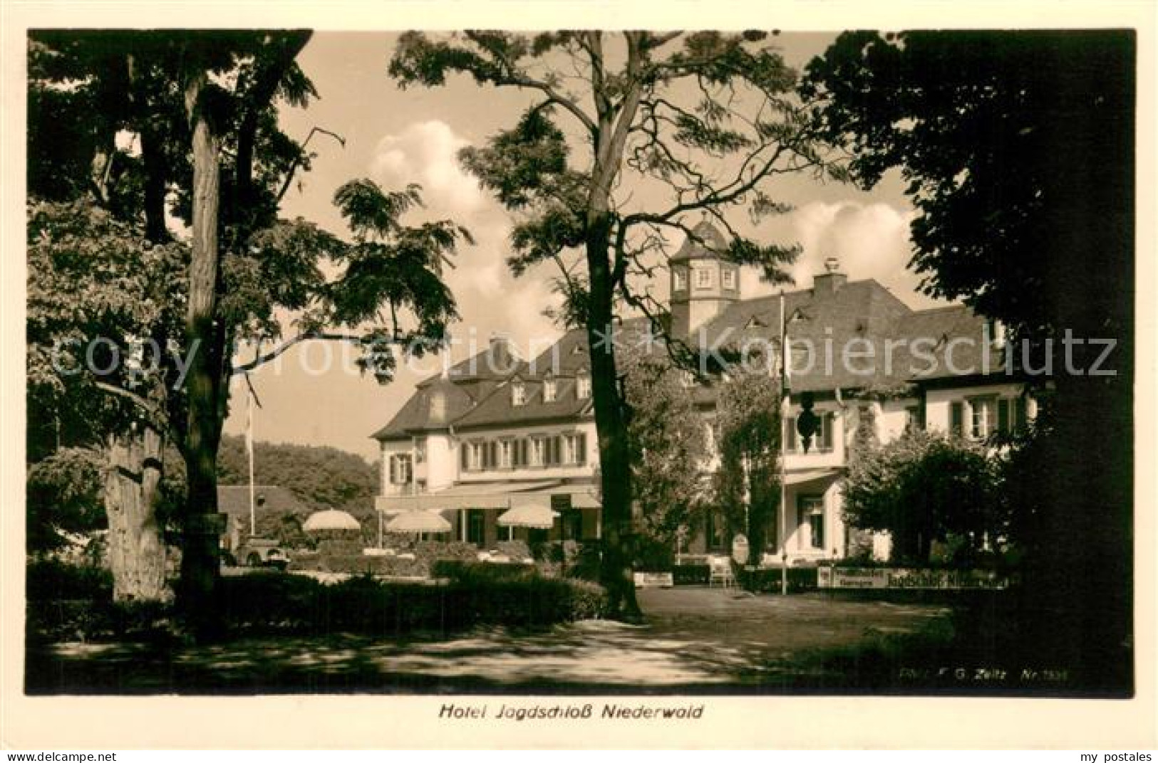 73706539 Ruedesheim Am Rhein Hotel Jagdschloss Niederwald  - Rüdesheim A. Rh.