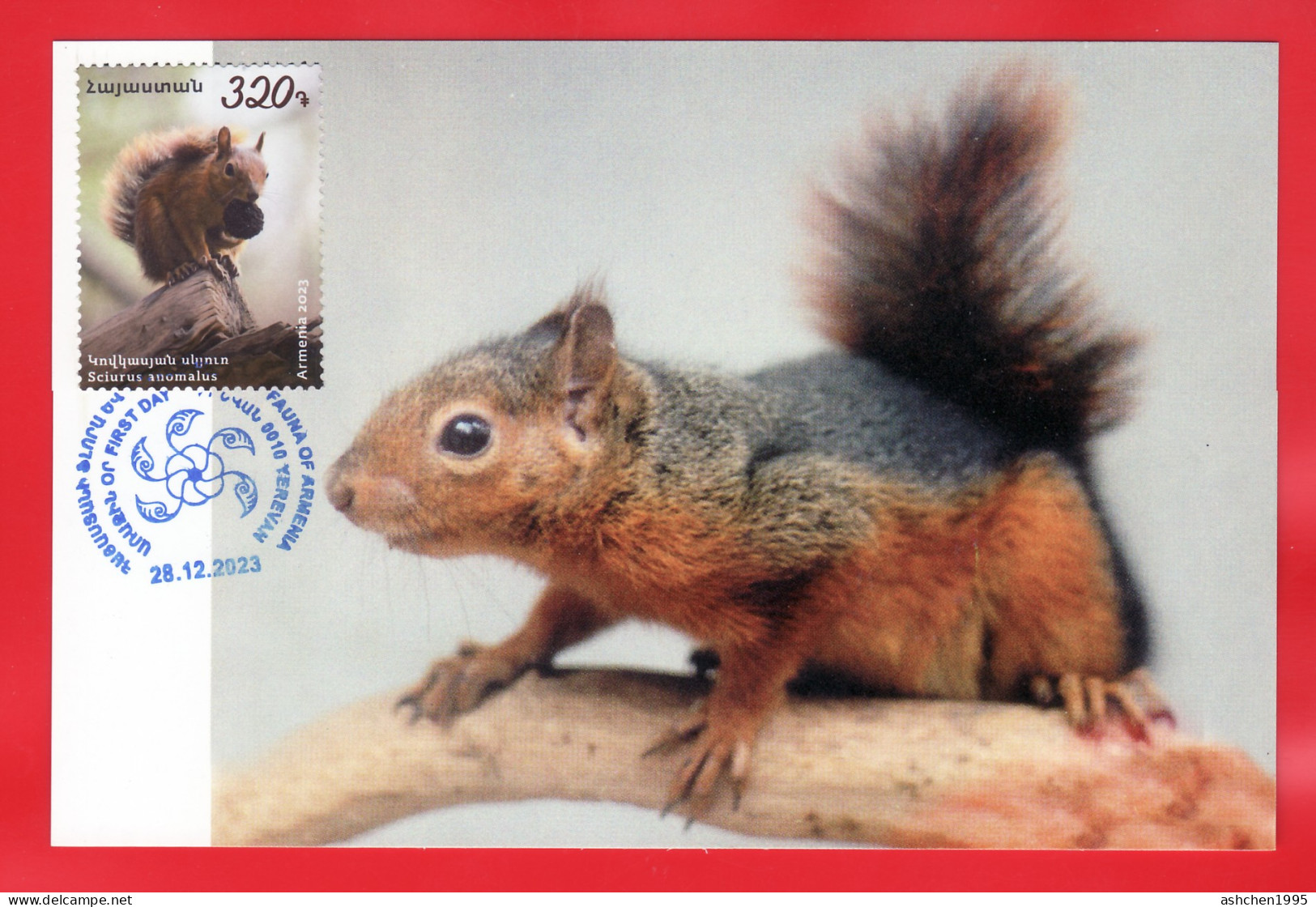 Armenien/Armenie/Armenia 2023, Fauna, Trans-Caucasian Squirrel - Card Maximum (II) - Armenien