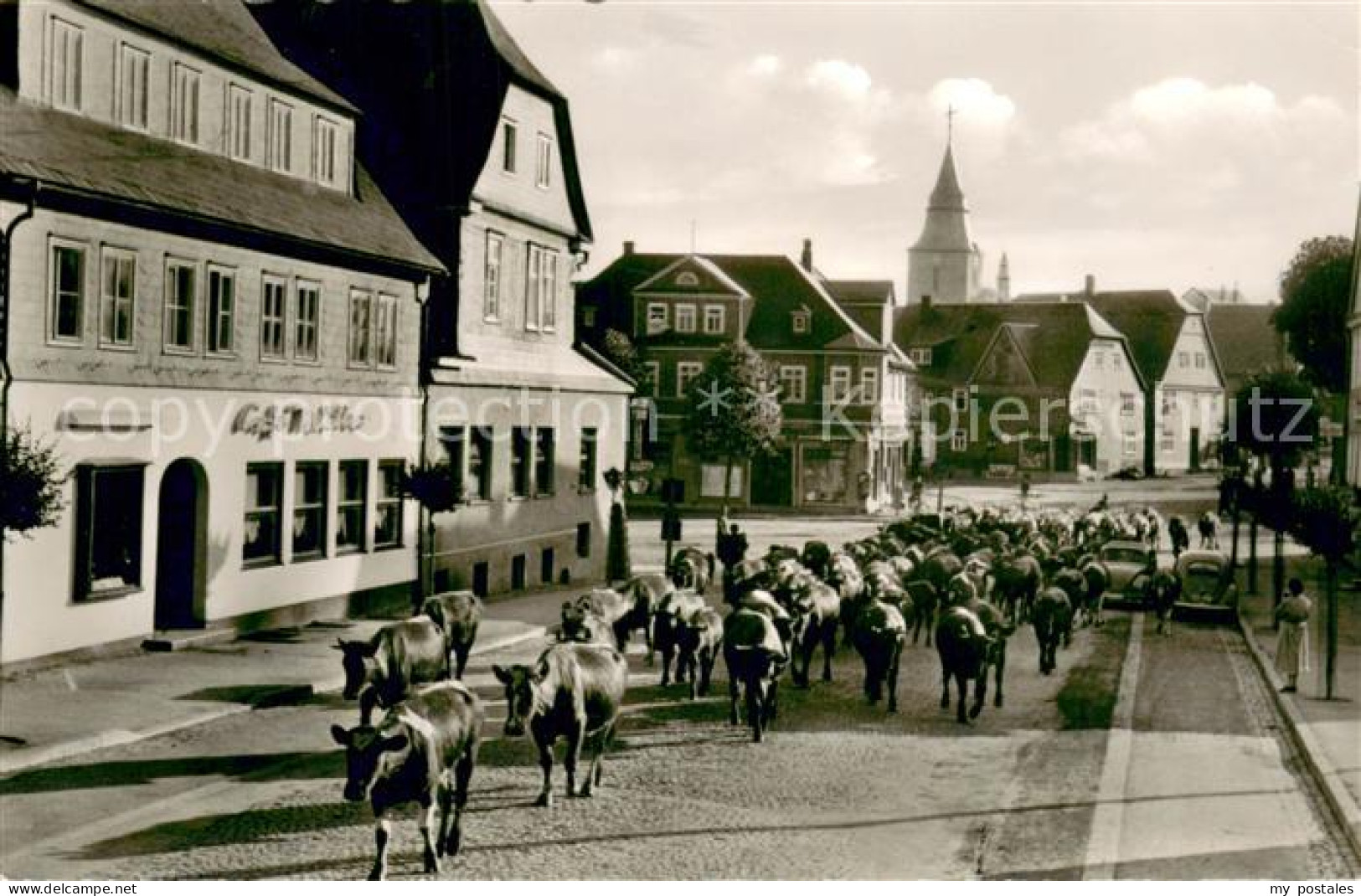 73706399 Winterberg Hochsauerland Viehauftrieb Winterberg Hochsauerland - Winterberg