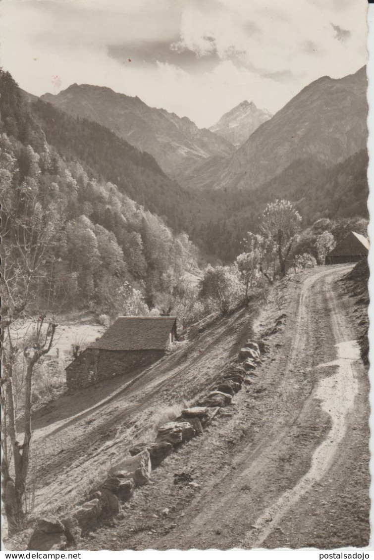 (D187) VALLE DE ARAN. ARTIGA DE LIN. PANORAMICA DE CONJUNTO - Lérida