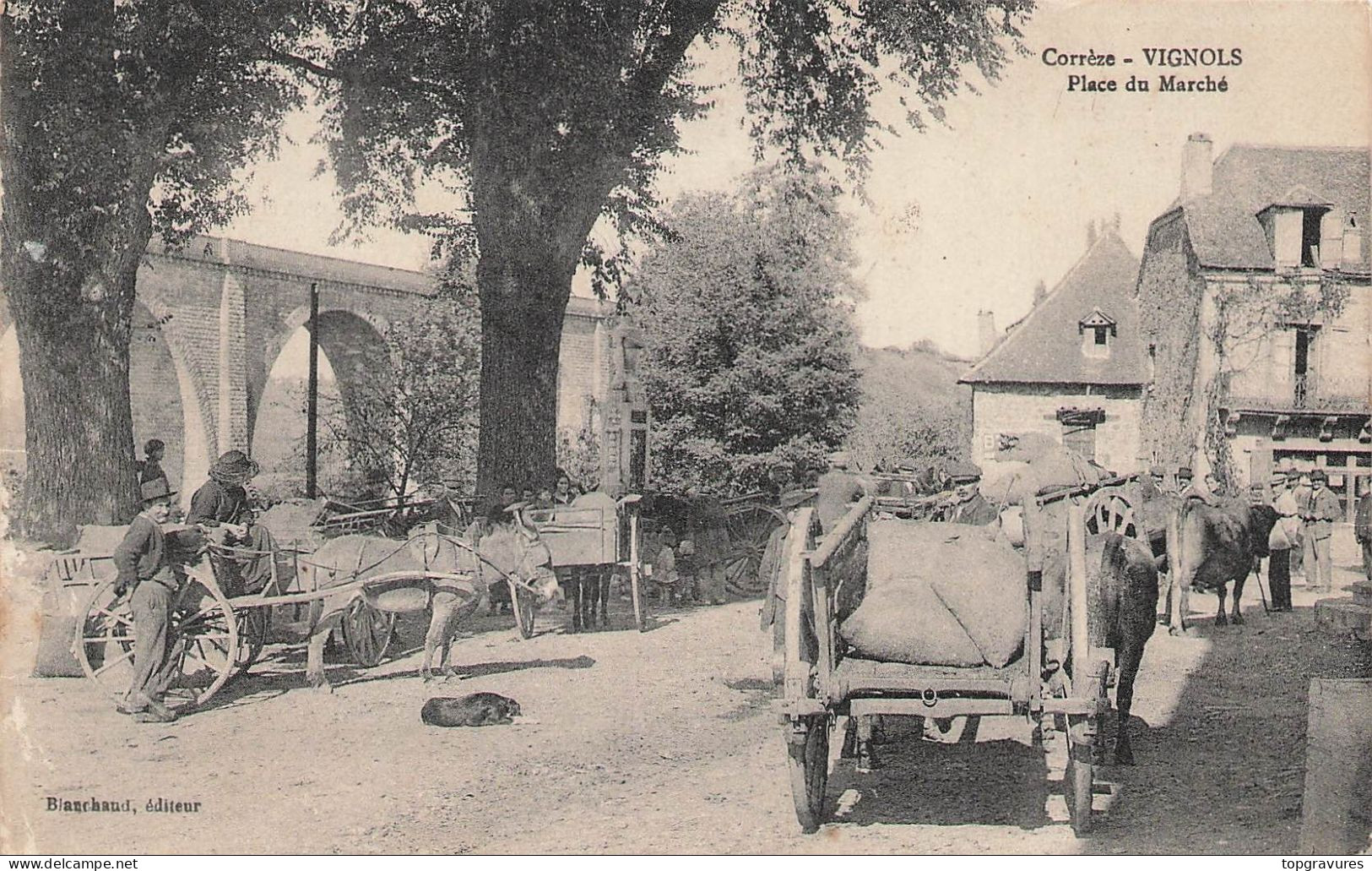 Vignols (19-Corrèze) - Place Du Marché (animée) Gros Plan Attelages - Other & Unclassified