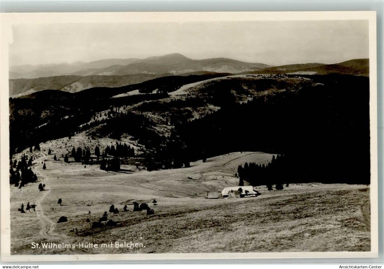 39725506 - Feldberg , Schwarzwald - Feldberg