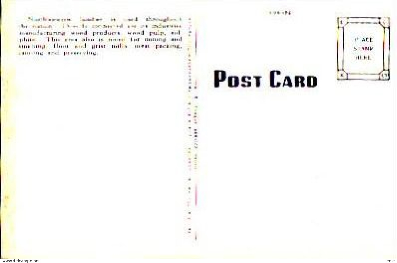 D78. Vintage US Postcard. Pine Timber In Scenic Northwest - Sonstige & Ohne Zuordnung