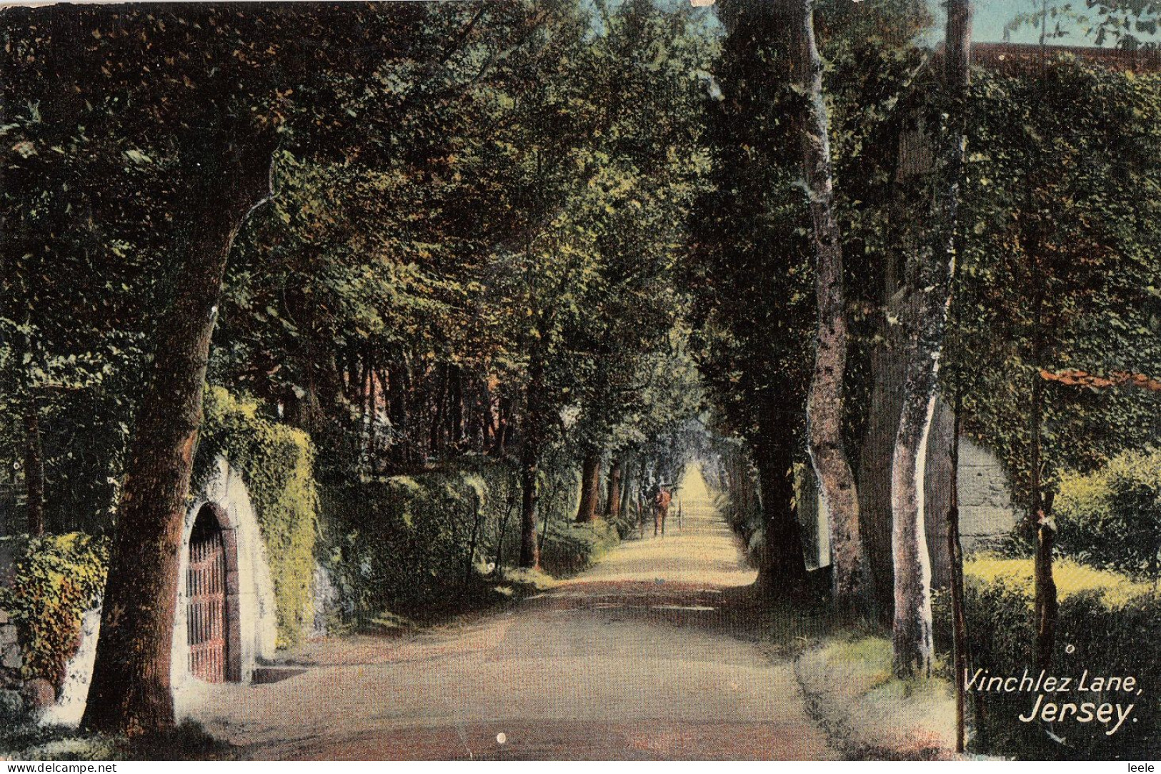 D51. Vintage Postcard. Vinchlez Lane, Jersey. Channel Islands - Sonstige & Ohne Zuordnung