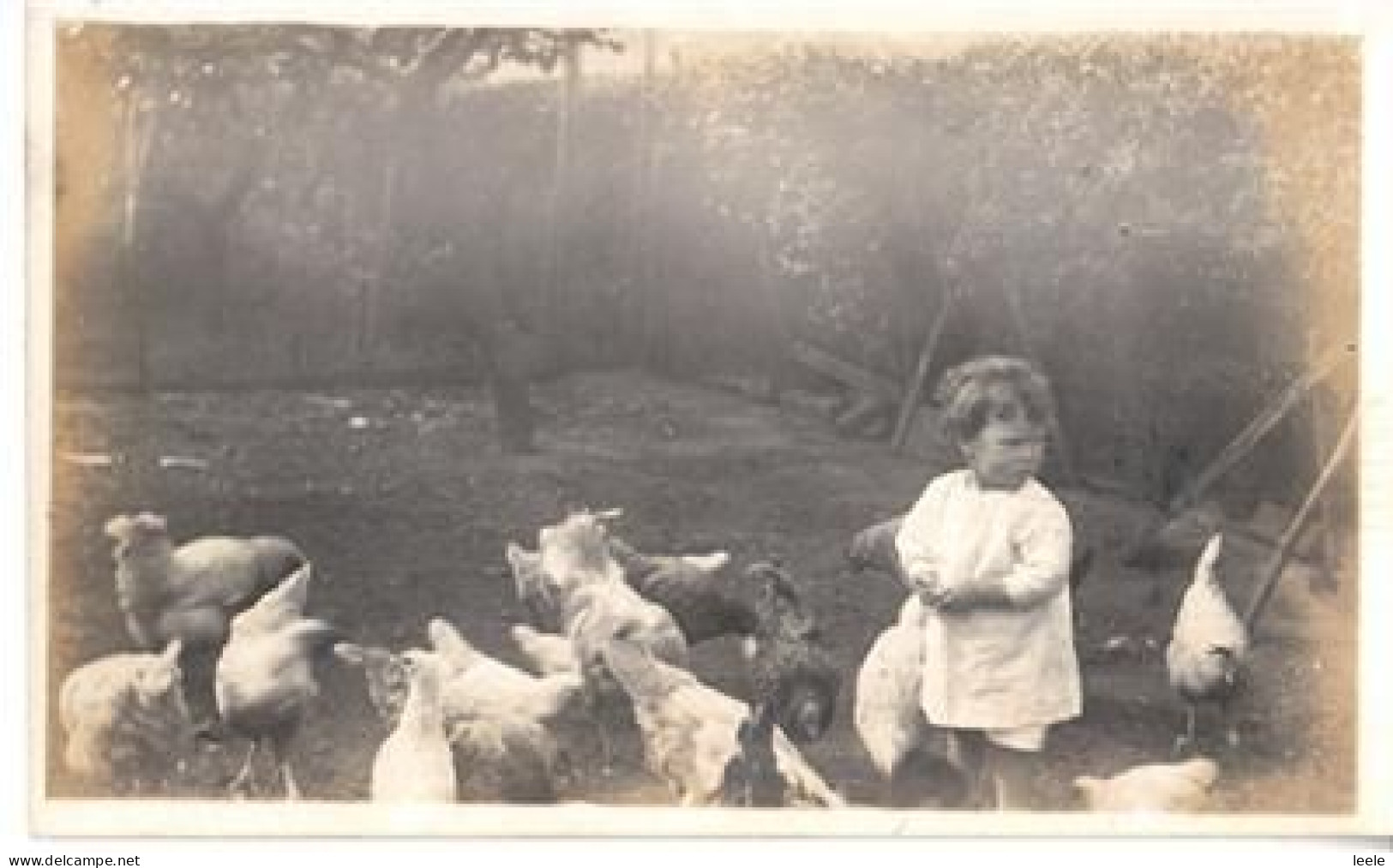 D05. Vintage Postcard. Young Child Feeding The Chickens. - Astronomía