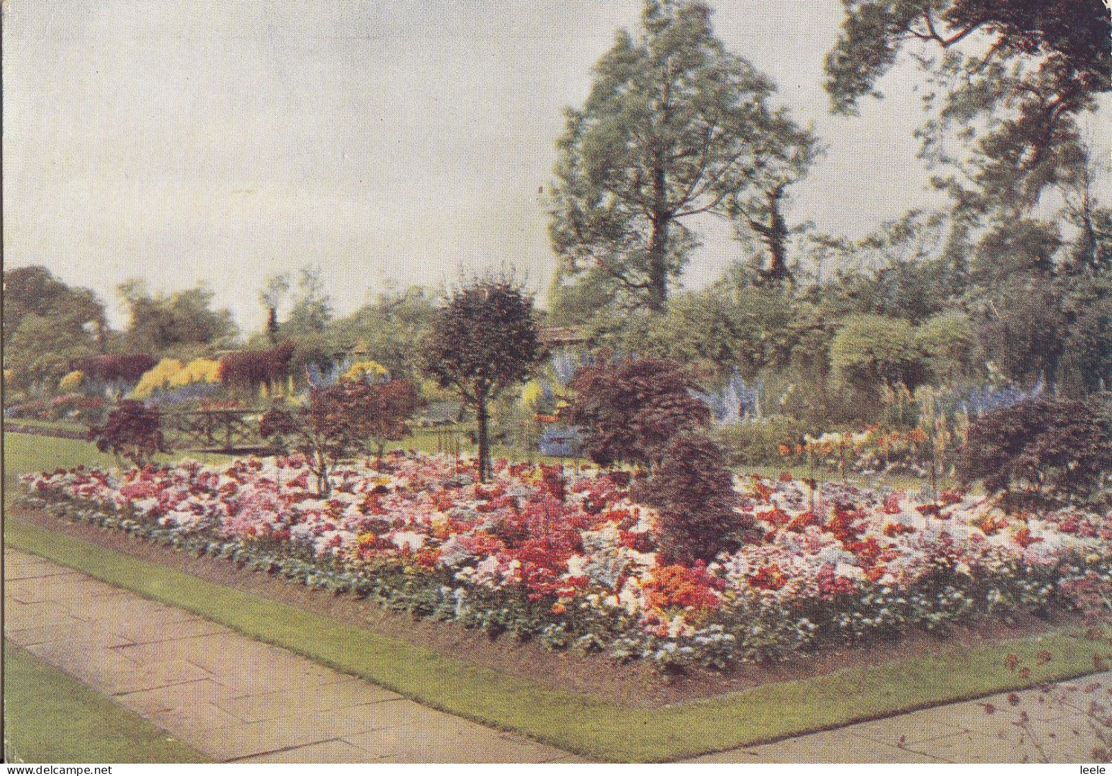 D61. Vintage Advertising Postcard. Nemesia Suttoni. Bedding. De Reszke Cigarettes - Andere & Zonder Classificatie