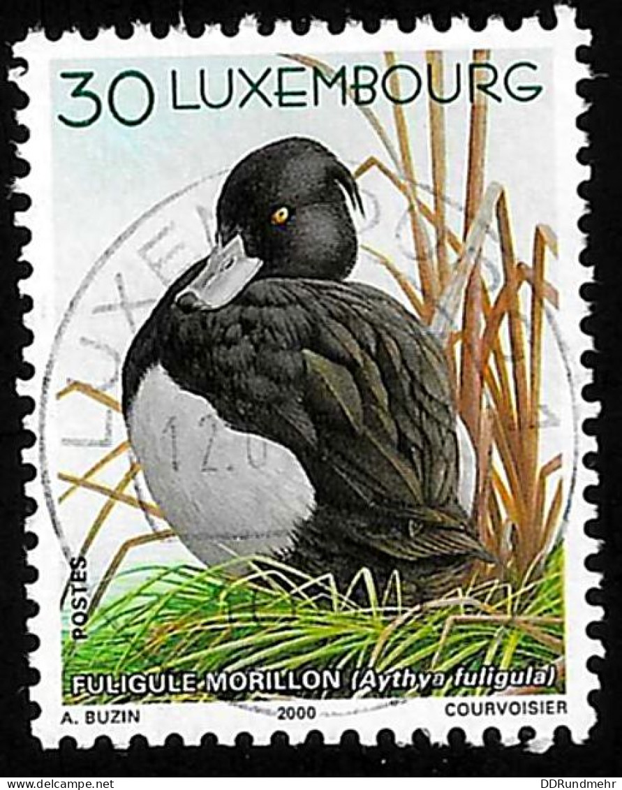 2000 Ducks Michel LU 1505 Stamp Number LU 1033 Yvert Et Tellier LU 1455 Stanley Gibbons LU 1538 Used - Usati