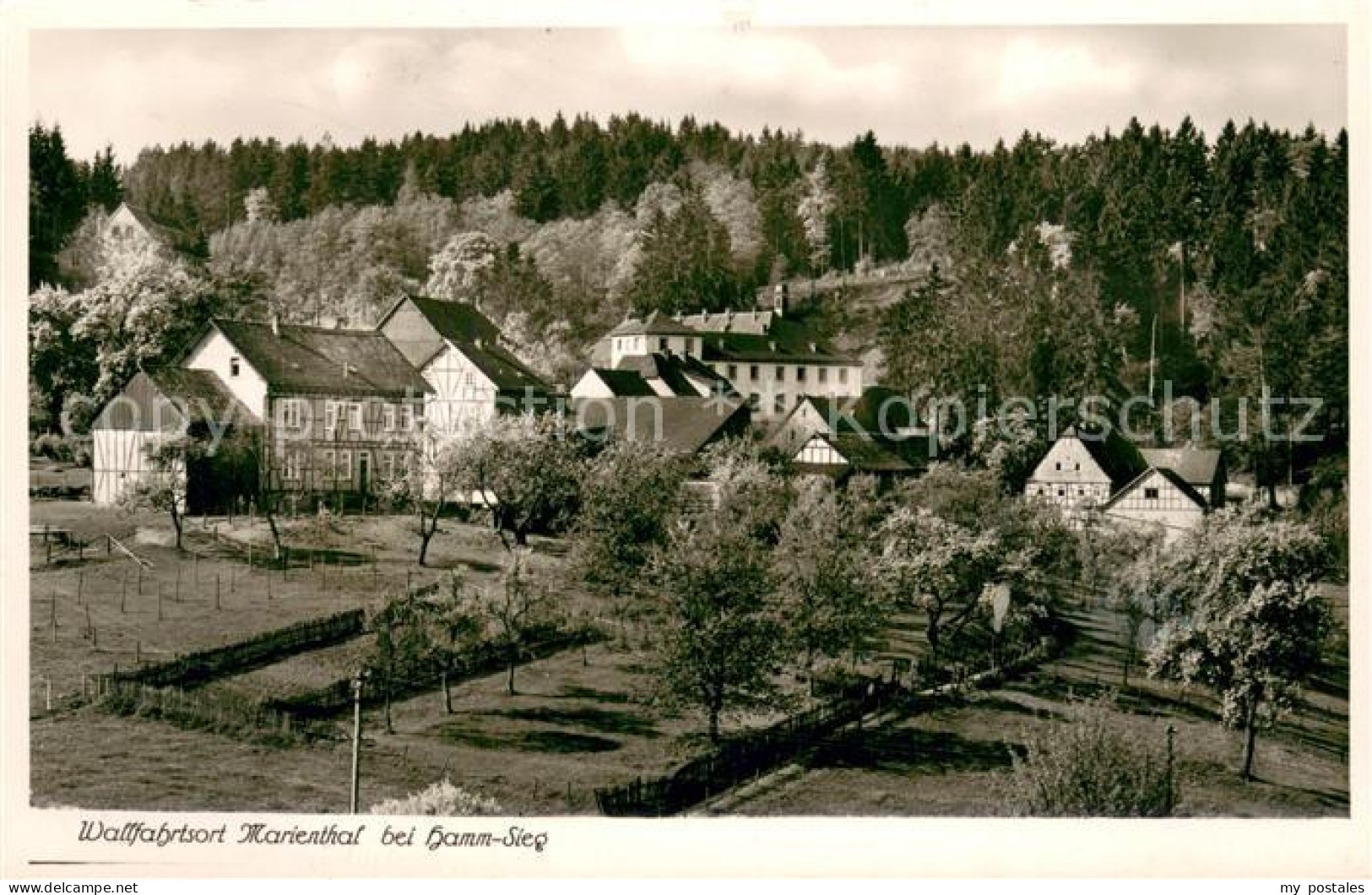 73706233 Marienthal Westerwald Gasthof Imhaeuser Marienthal Westerwald - Sonstige & Ohne Zuordnung