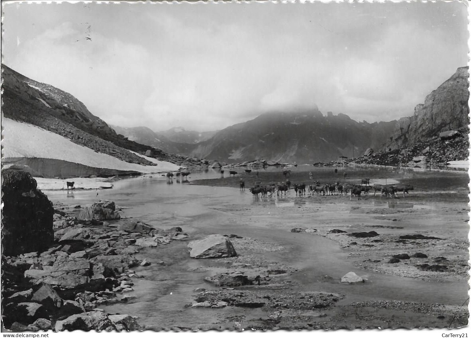 73. PRALOGNAN LA VANOISE. LE LAC DES VACHES AU COL DE LA VANOISE. 1957. - Pralognan-la-Vanoise