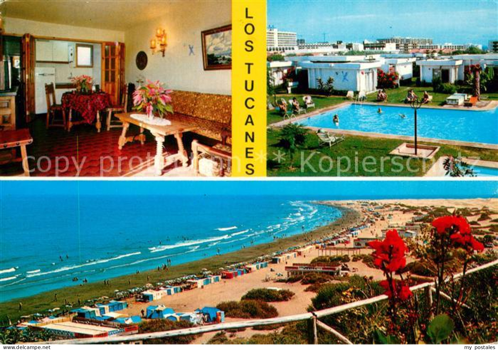 73706117 Playa Del Ingles Bungalows Los Tucanes Piscina Playa Playa Del Ingles - Autres & Non Classés