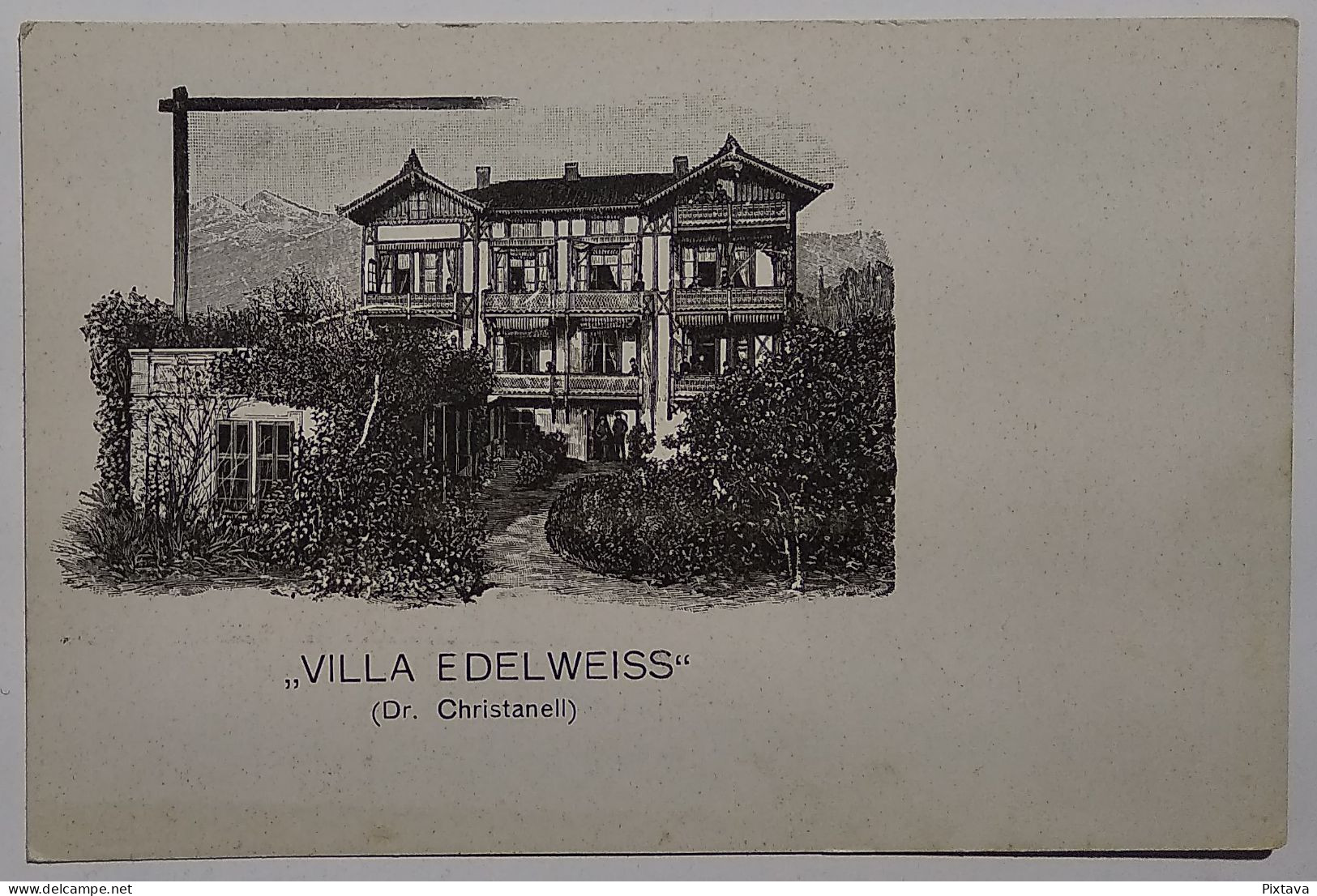 Meran / Pension Edelweiss (Dr. Leo Christanell) - Merano