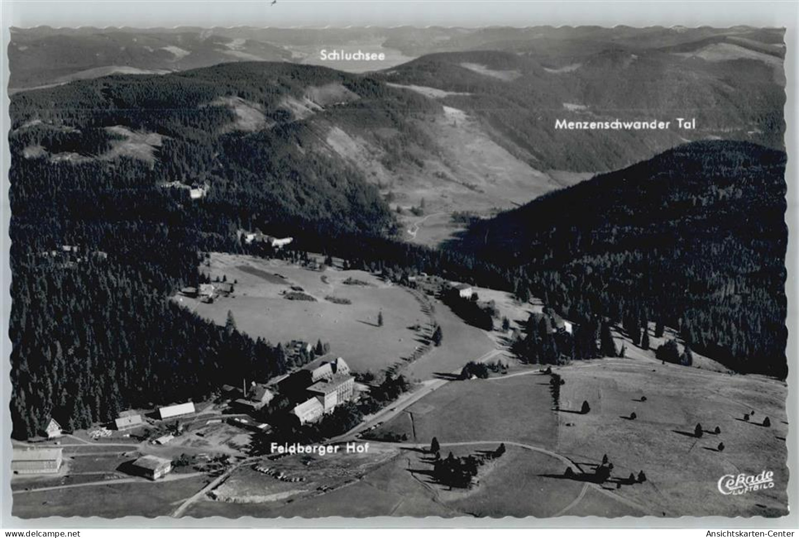 51412706 - Feldberg , Schwarzwald - Feldberg