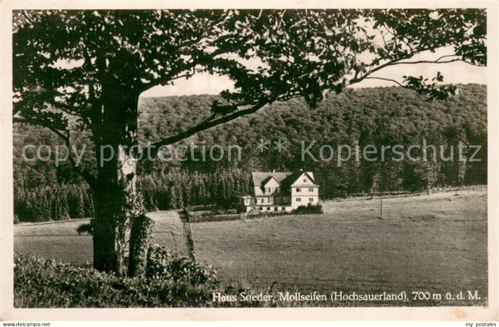 73705828 Mollseifen Haus Soeder Mollseifen - Winterberg