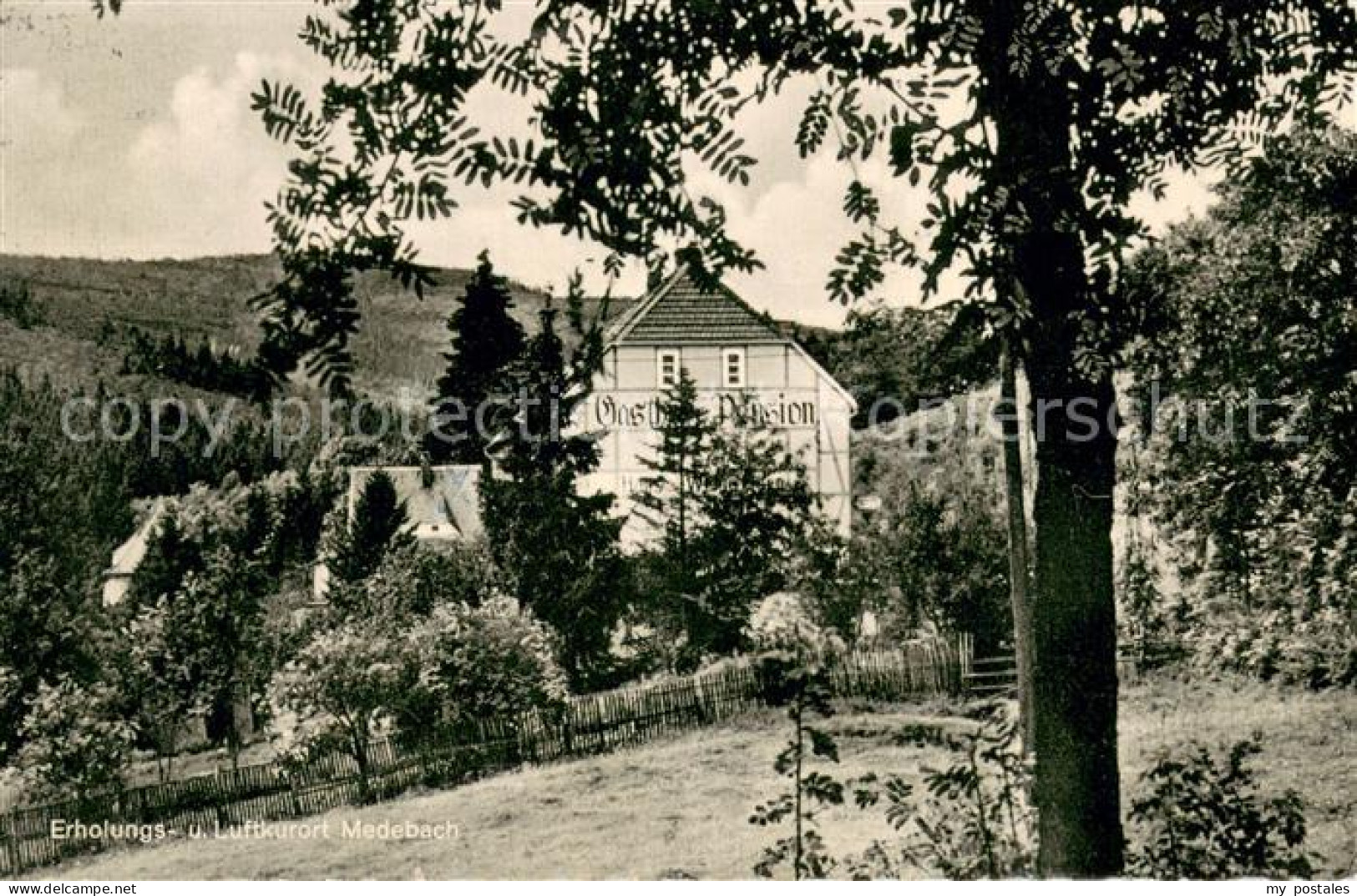 73705806 Medebach Gasthof Pension Haus Waldfrieden Medebach - Andere & Zonder Classificatie