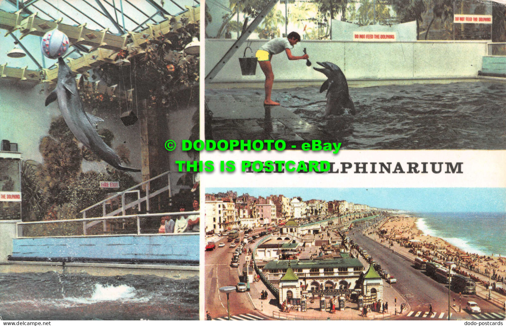 R551941 Dolphinarium. Charles Skiltons Postcard Series. Multi View - Welt