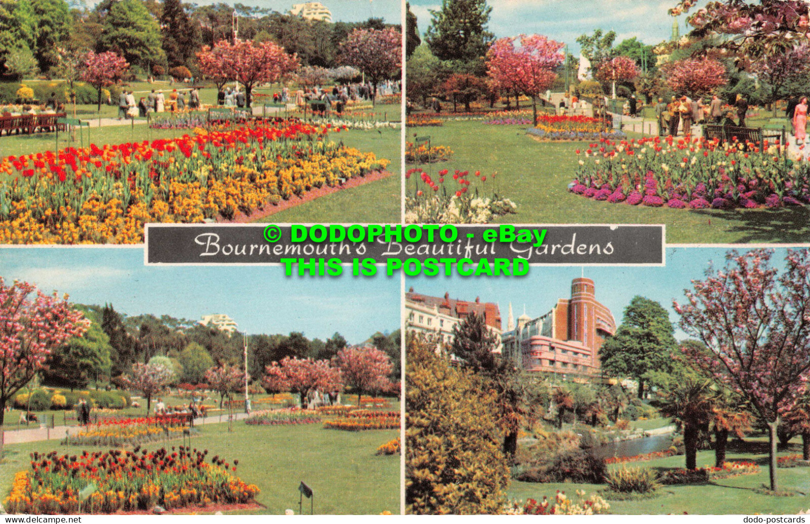 R551965 Bournemouths Beautiful Gardens. Sunray Series. Thunder And Clayden. CTD. - Welt