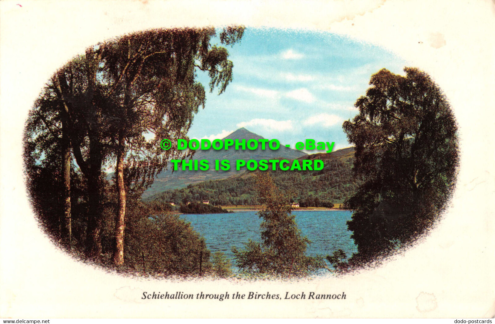 R551997 Schiehallion Through Birches. Loch Rannoch. Colourmaster International. - Monde