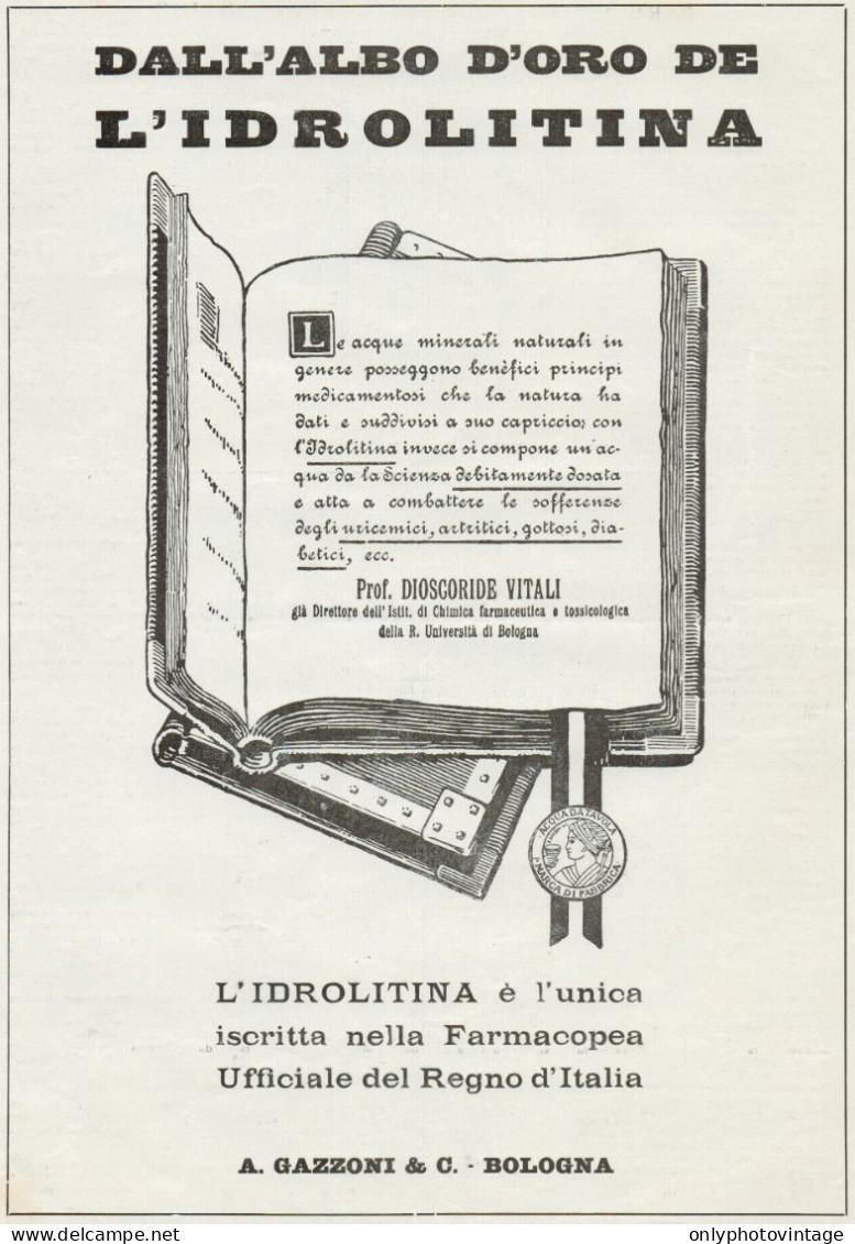Albo D'oro De L'IDROLITINA - Pubblicità Grande Formato - 1924 Old Advert - Publicités
