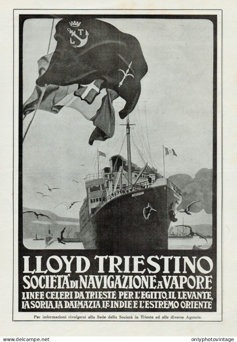 LLOYD TRIESTINO - Illustrazione - Pubblicità Grande Formato - 1924 Old Ad - Publicidad