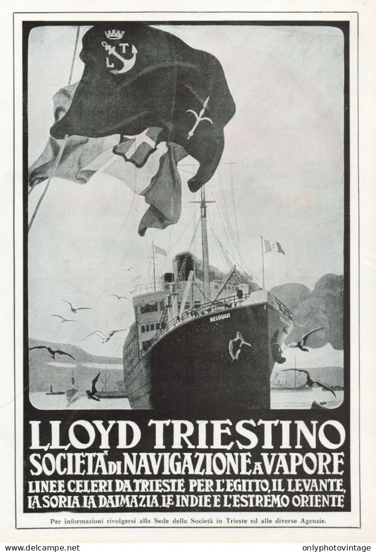 LLOYD TRIESTINO Soc. Di Navigazione A Vapore - Pubblicità - 1924 Old Ad - Publicités