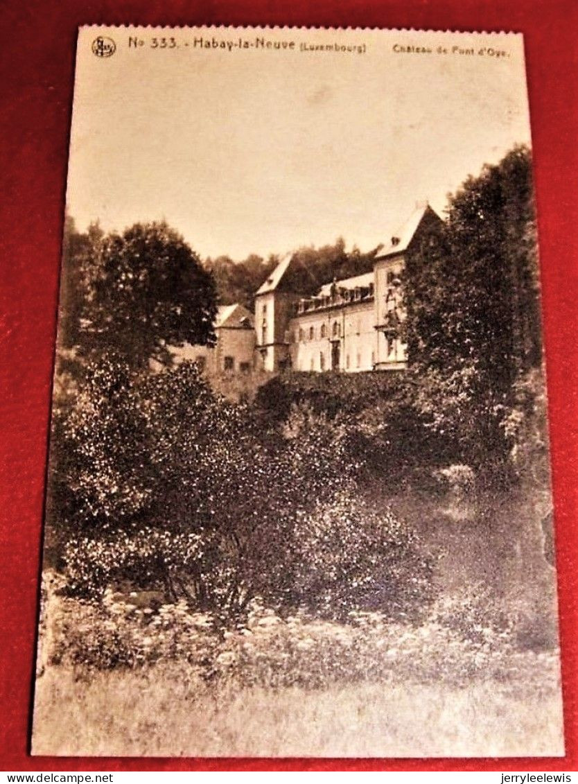 HABAY  LA  NEUVE  -  Château Du Pont D' Oye   -  1920   - - Habay