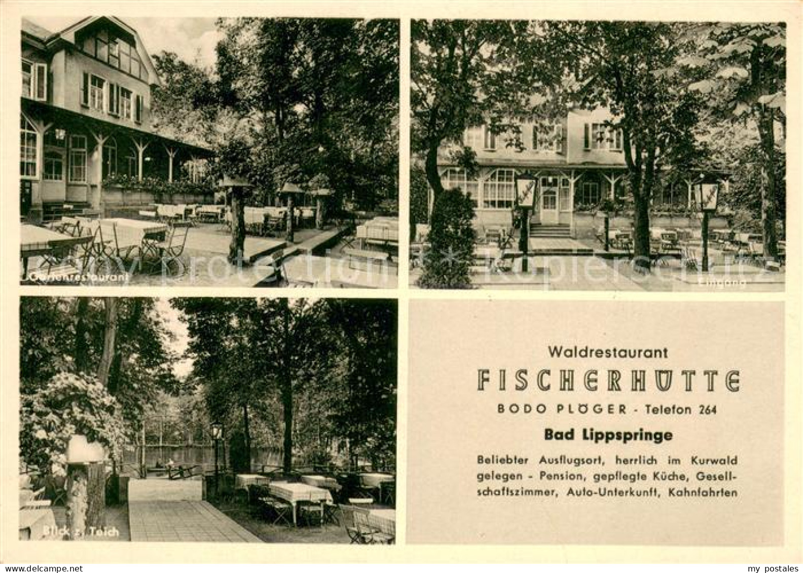 73705637 Bad Lippspringe Waldrestaurant Fischerhuette Eingang Terrasse Und Teich - Bad Lippspringe