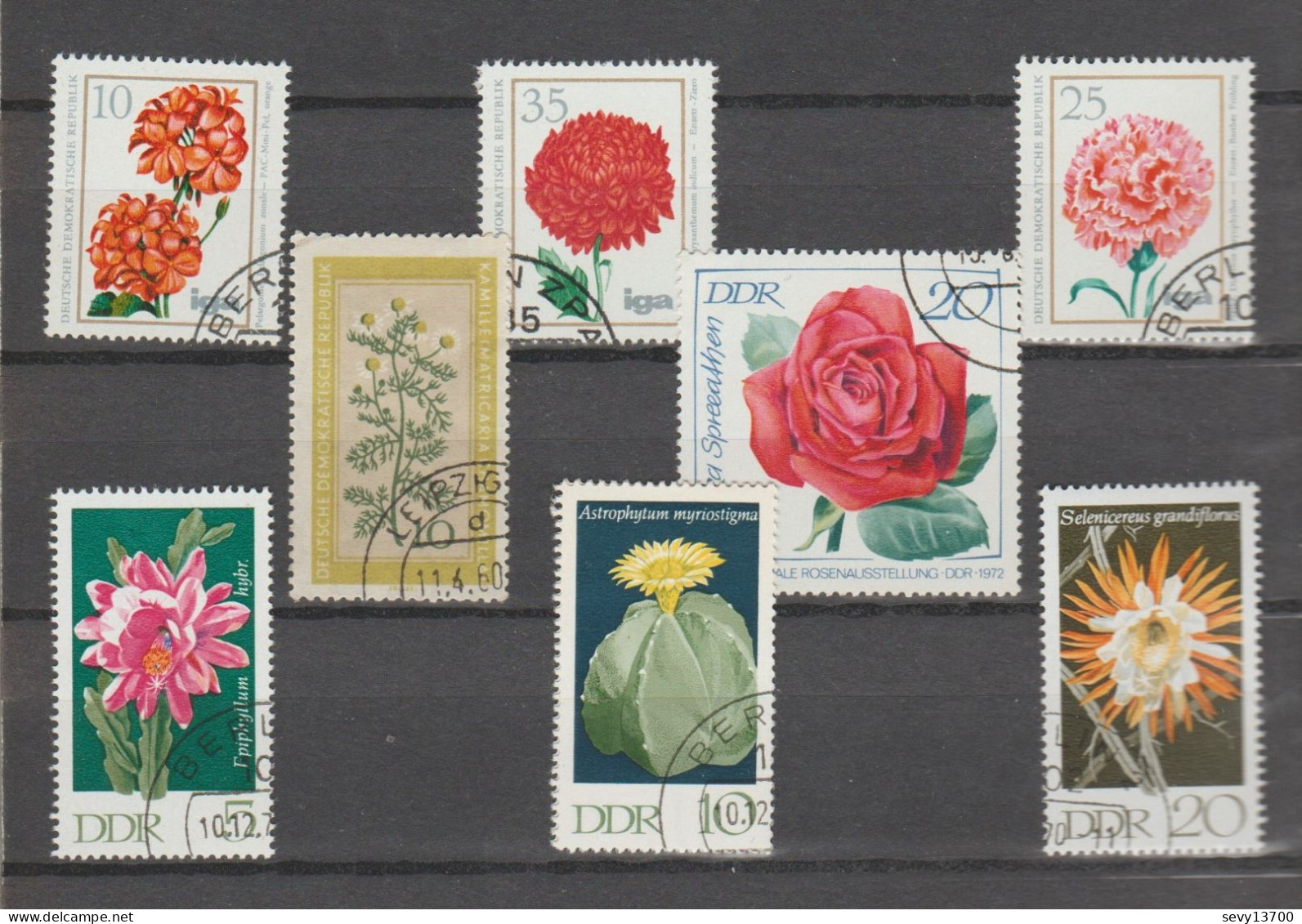 DDR Lot 17 Timbres - La Faune Et La Flore ( Ours Oiseaux Papillons Roses Cactus) - Autres & Non Classés