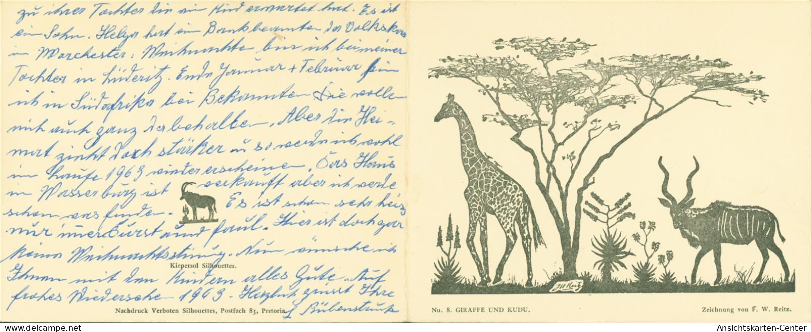 13816906 - Sign. F. Reitz Giraffe Und Kudu Serie Nr. 8 Kiepersol Klappkarte Neujahr Weihnachten - Südafrika
