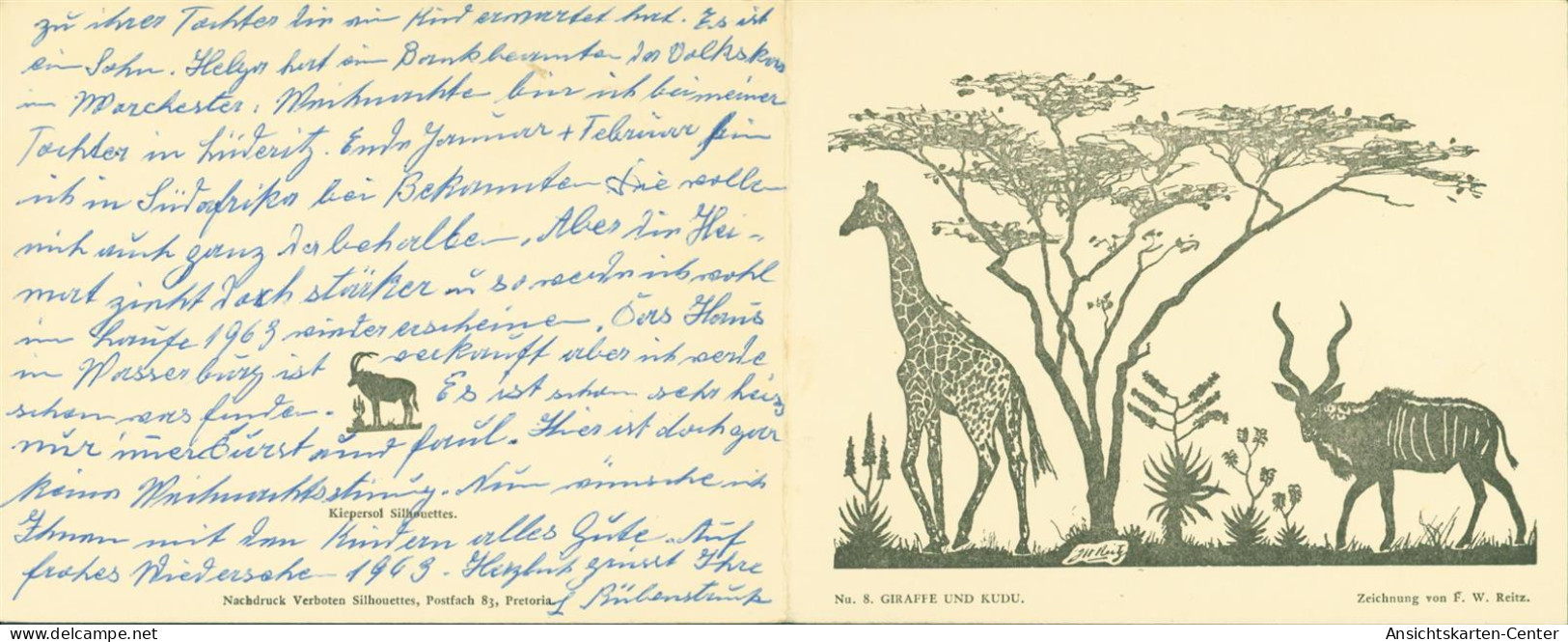 13816906 - Sign. F. Reitz Giraffe Und Kudu Serie Nr. 8 Kiepersol Klappkarte Neujahr Weihnachten - Sudáfrica