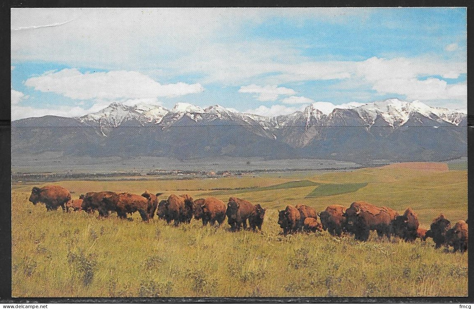 Montana, National Buffalo Range, Unused - Andere & Zonder Classificatie