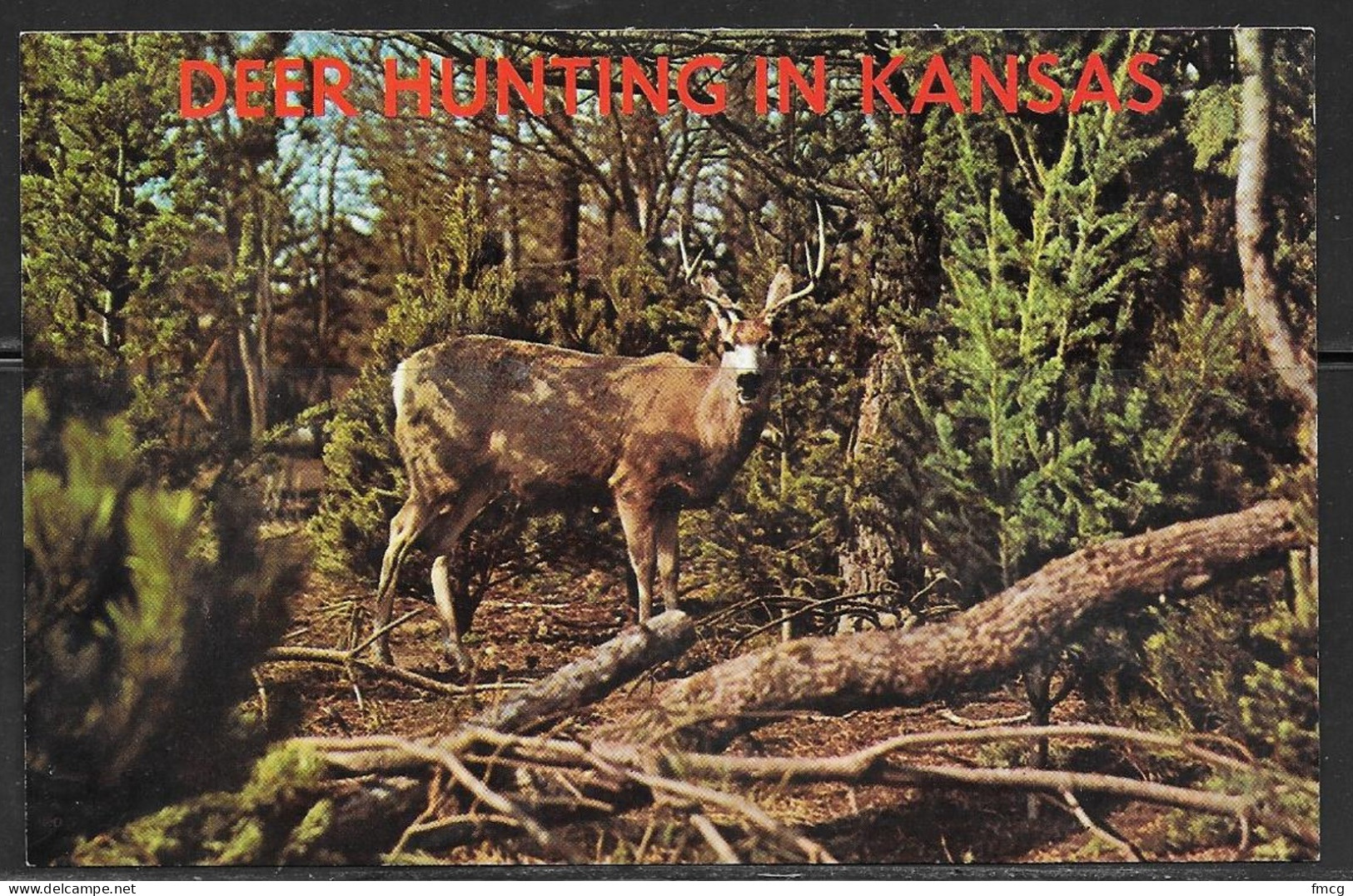 Deer Hunting In Kansas, Unused - Andere & Zonder Classificatie