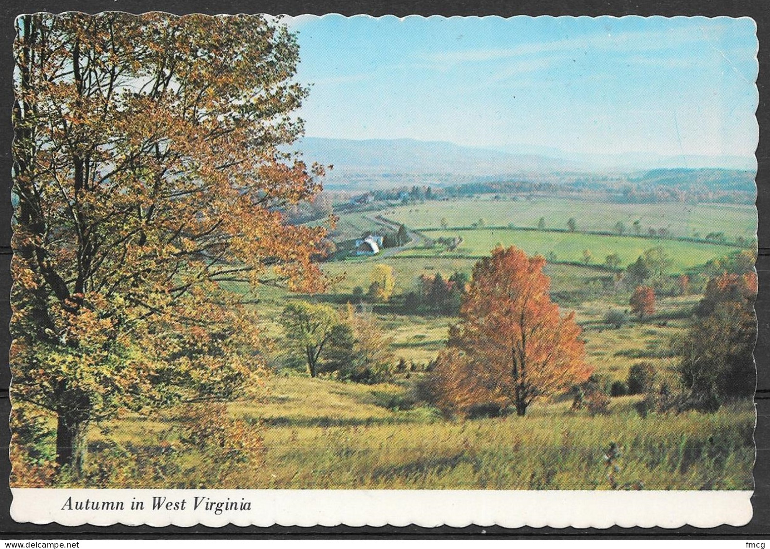 West Virginia, Canaan Valley, Autumn, Unused - Other & Unclassified