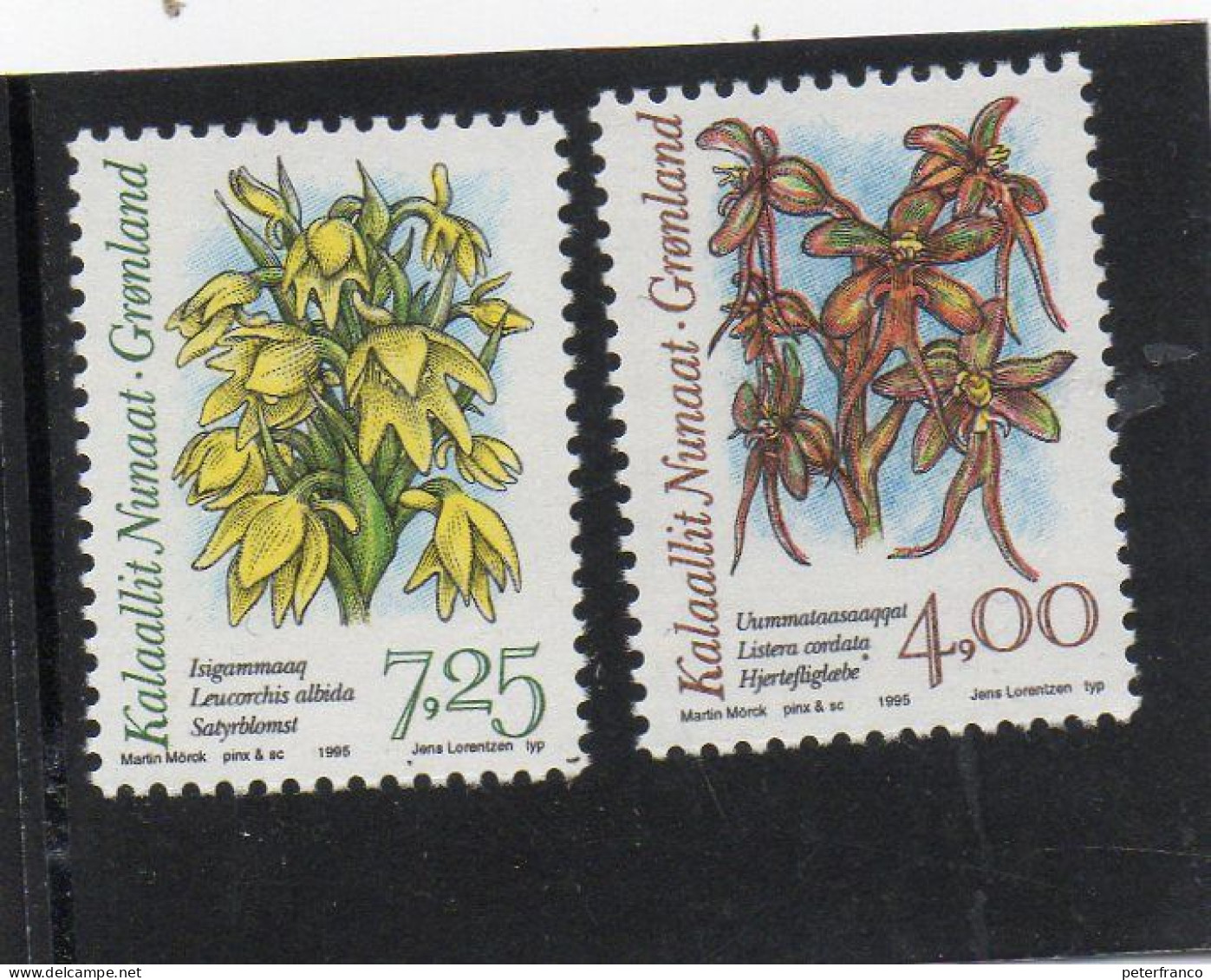 1995 Groenlandia - Orchidee - Nuovi