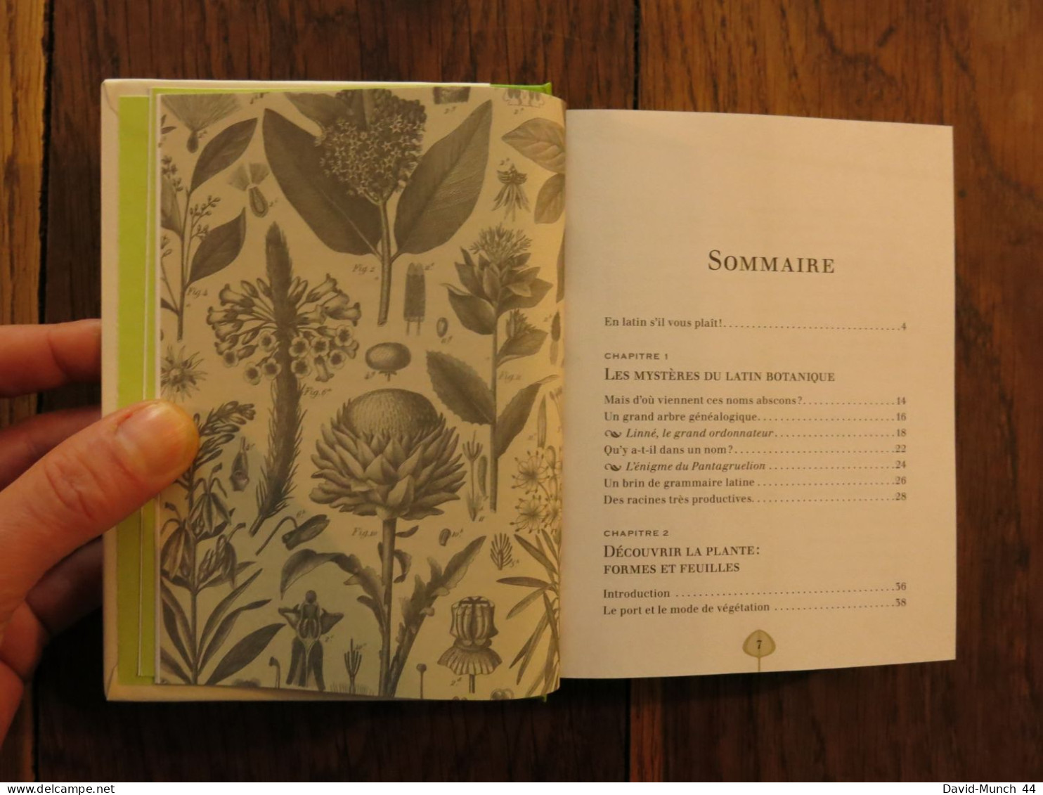 Le Latin Du Jardin 1500 Noms Latins Pour Apprendre à Parler Plantes (Couramment) De Diane Andriaenssen. Larousse. 2011 - Nature