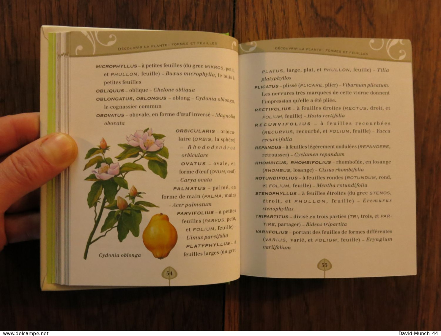 Le Latin du Jardin 1500 noms Latins pour apprendre à parler Plantes (Couramment) de Diane Andriaenssen. Larousse. 2011