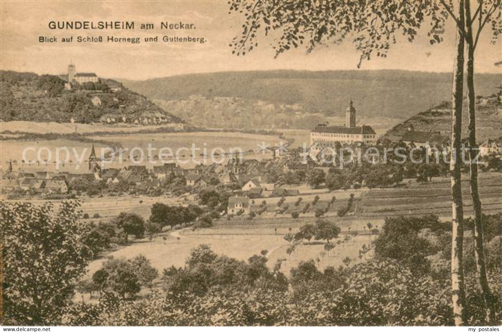 73704785 Gundelsheim Neckar Blick Auf Schloss Hornegg Und Guttenberg Gundelsheim - Other & Unclassified