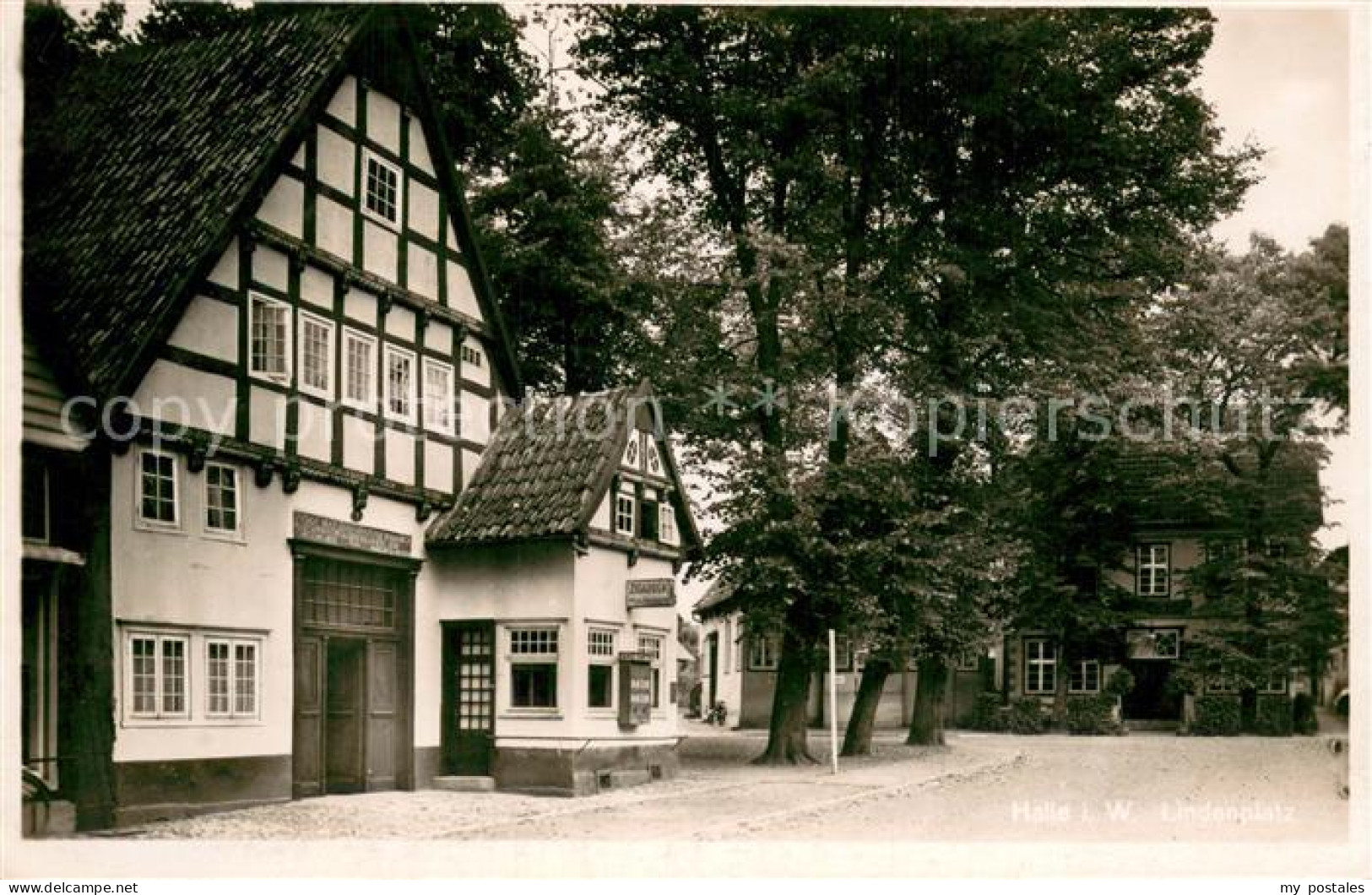 73704748 Halle Westfalen Lindenplatz Fachwerkhaus Halle Westfalen - Halle I. Westf.