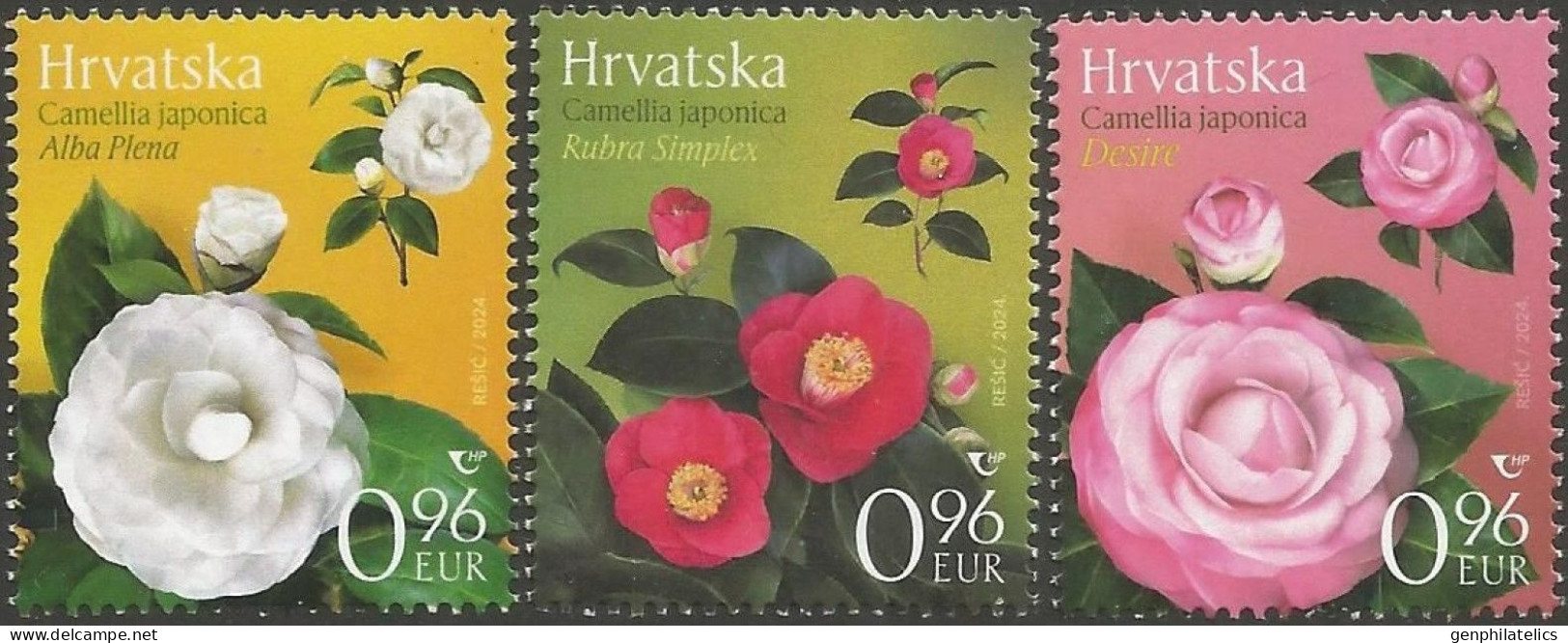 CROATIA 2024 FLORA Plants. Flowers CAMELLIAS - Fine Set MNH - Kroatien