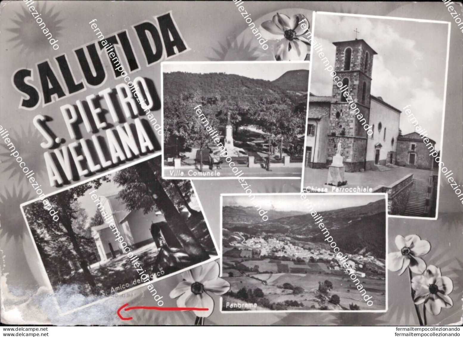 Al751 Cartolina Saluti Da S.pietro Avellana Provincia Di L'aquila Abruzzo - L'Aquila