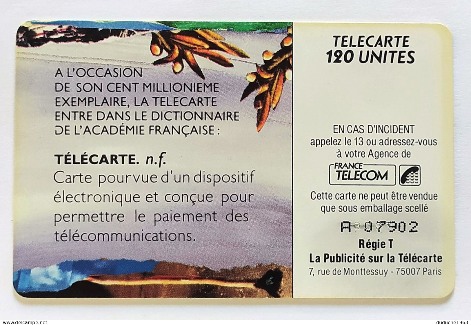 Télécarte France - Academie Francaise - Ohne Zuordnung