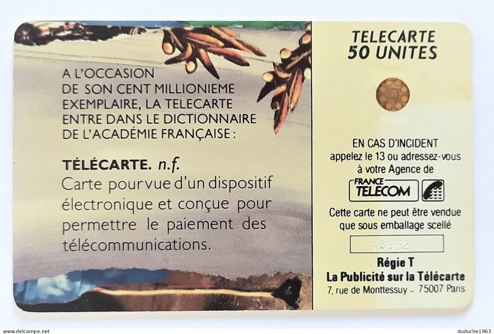 Télécarte France - Academie Francaise - Ohne Zuordnung