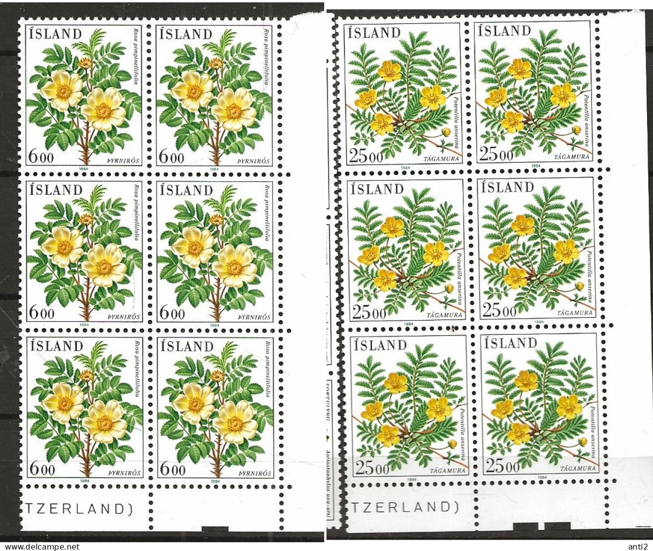 Iceland Island 1984 Flowers, Burnet Rose, Goose Cinquefoil  Mi 612-613 In Blocs Of Six  MNH(**) - Unused Stamps