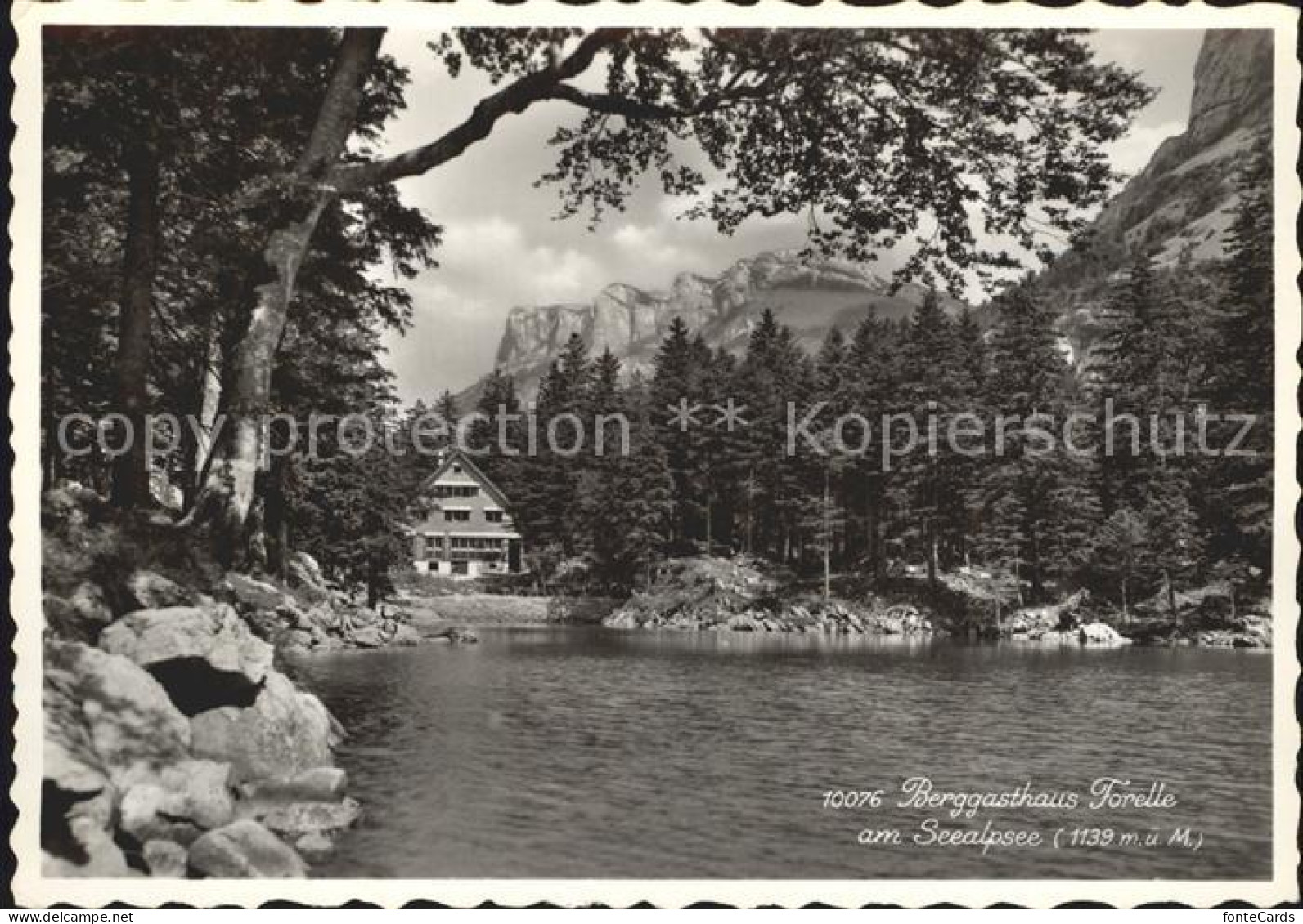 12304470 Seealpsee Berggasthaus Forelle Seealpsee - Andere & Zonder Classificatie